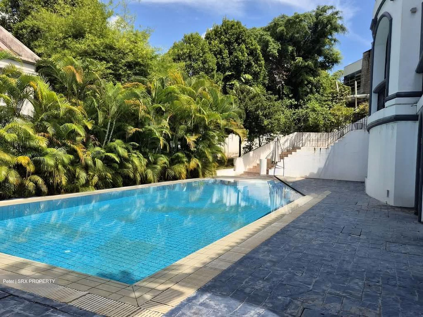 Leedon Road (D10), Detached #556033631